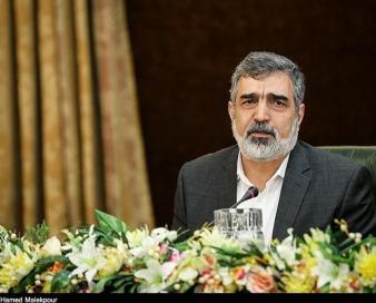کمالوندی: کاهش تعهدات هسته ای ایران برنامه‌ریزی غربی‌ها را بر هم زده است