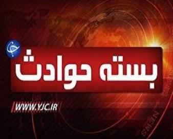 کشف ۱۷۳ کیلوگرم تریاک در عملیات مشترک پلیس/ توقیف ۲ دستگاه خودروی حامل بوقلمون فاقد مجوز حمل