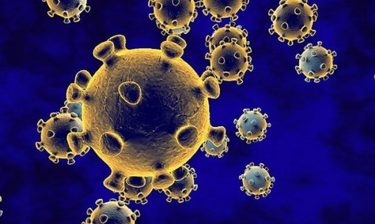  کشفی عجیب و جدید در مورد ویروس کرونا 