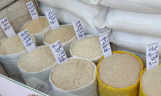 شوک به بازار برنج +قیمت 