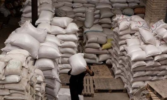 دولت برنج مازاد کشاورزان را می‌خرد