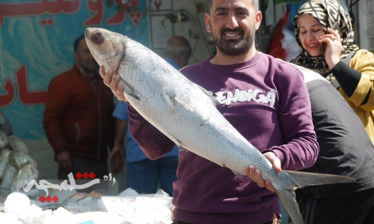 بازار ماهی فروشان سرچشمه تهران در روز پایانی سال +تصاویر